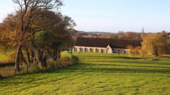 IMG_8468-1-scaled-e1605536361404