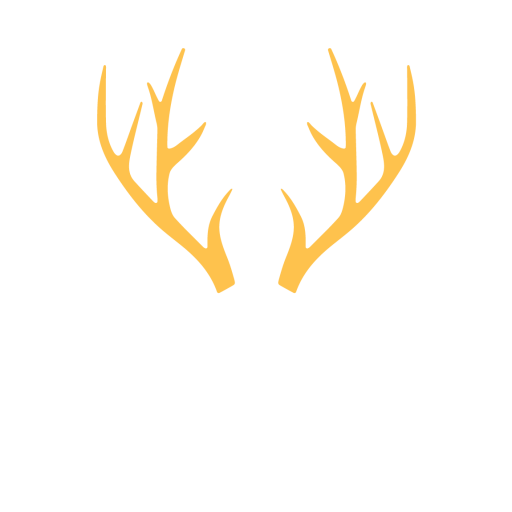 Woodfalls Band